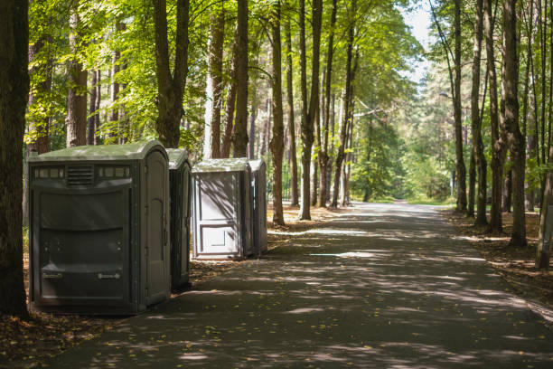 Best Luxury portable toilet rental  in Asbury, IA